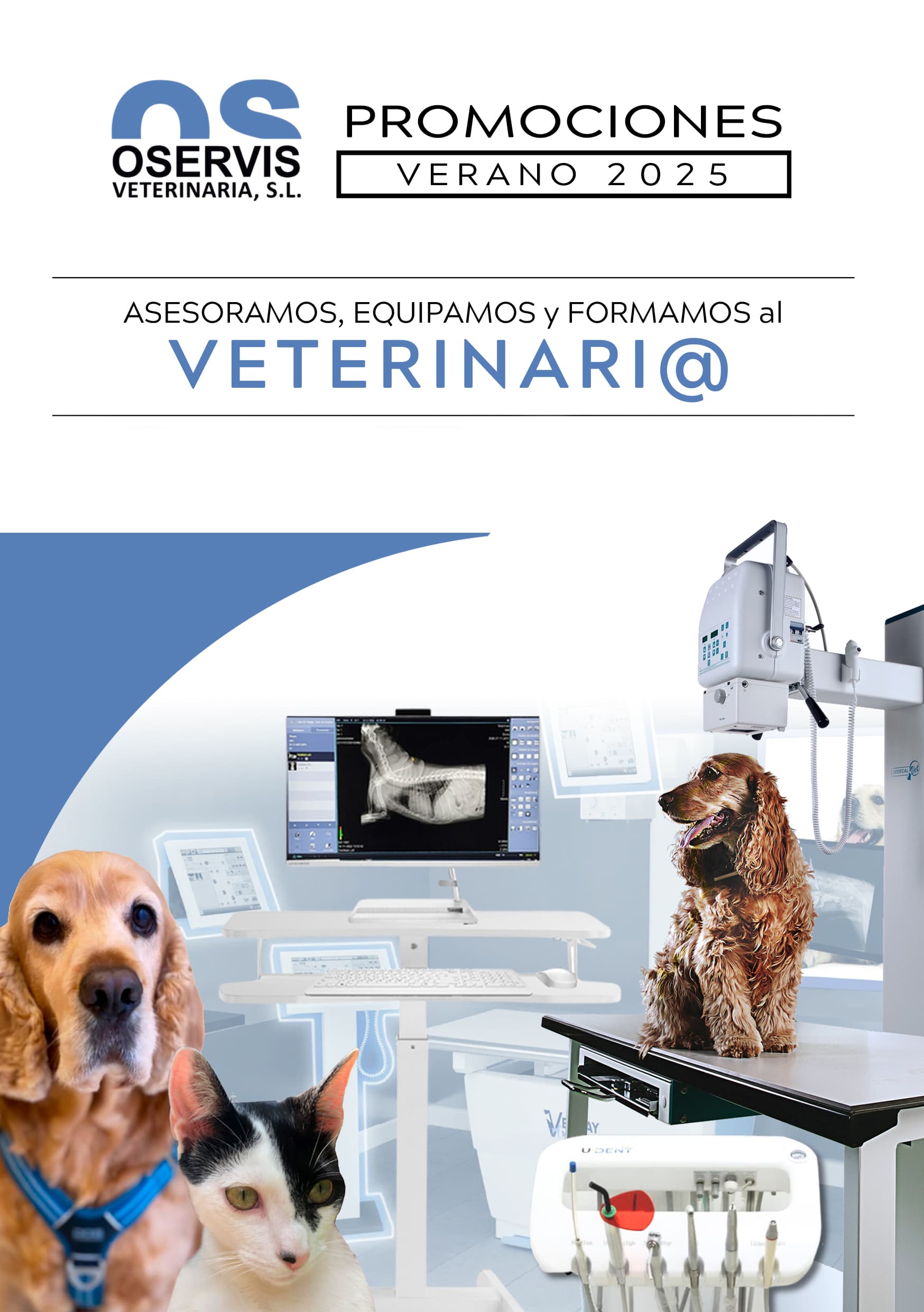 Promocion de temporada Oservis