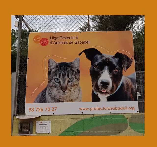 LLIGA PROTECTORA D'ANIMALS de SABADELL