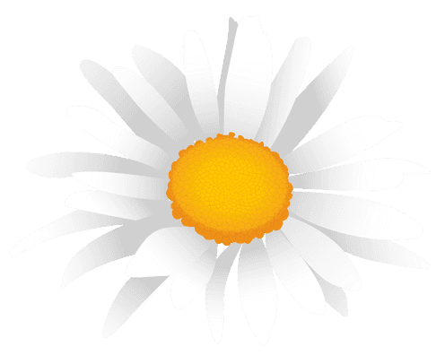 Promo Primavera